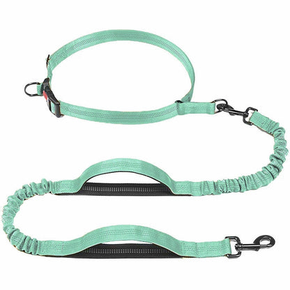 Pet Leash Pet Perfect