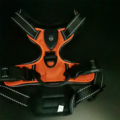 LED Luminous Pet Chest Strap Night Dog Walking Anti-car Accident Adjustable Flash Cat and Dog Vest Pet Perfect