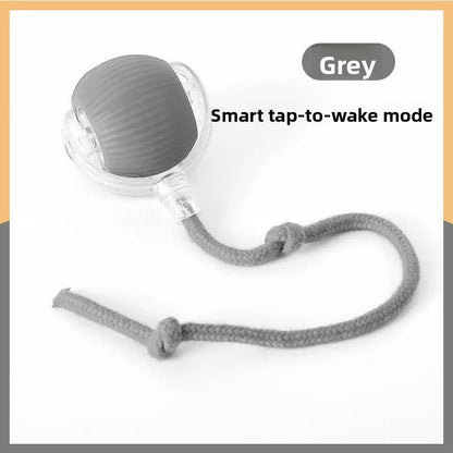 Automatic Bouncing Dog Toy Ball with Three Speeds Pets Perfect