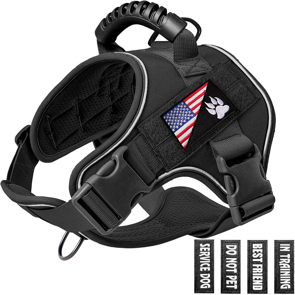 Pet Leash Pet Perfect