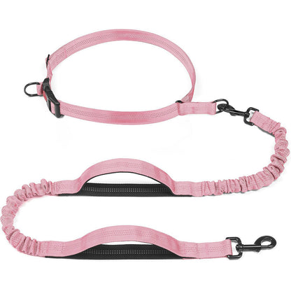 Pet Leash Pet Perfect