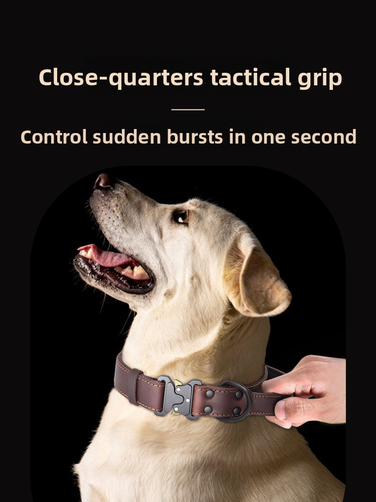 Black Leather Dog Collar – Heavy Duty Adjustable Collar for Strong Dogs