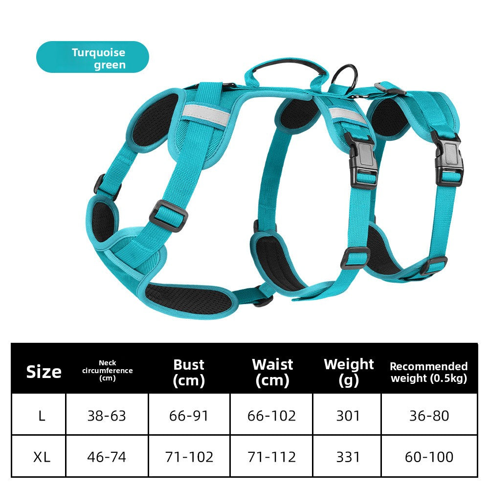 leash pet