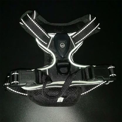 LED Luminous Pet Chest Strap Night Dog Walking Anti-car Accident Adjustable Flash Cat and Dog Vest Pet Perfect