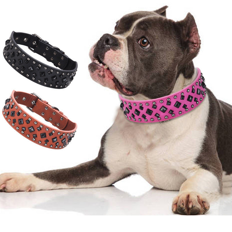 leather dog collar