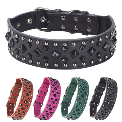leather dog collar