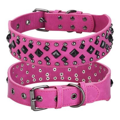leather dog collar