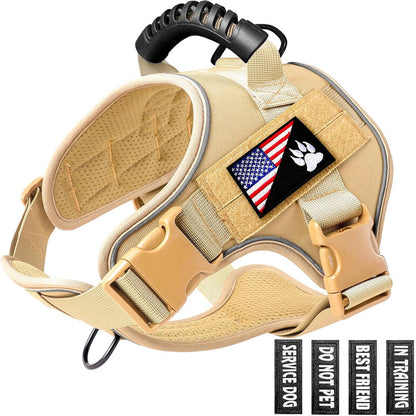 Pet Leash Pet Perfect