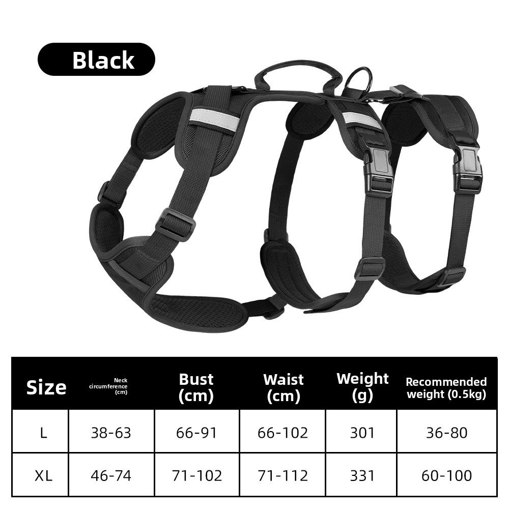 leash pet