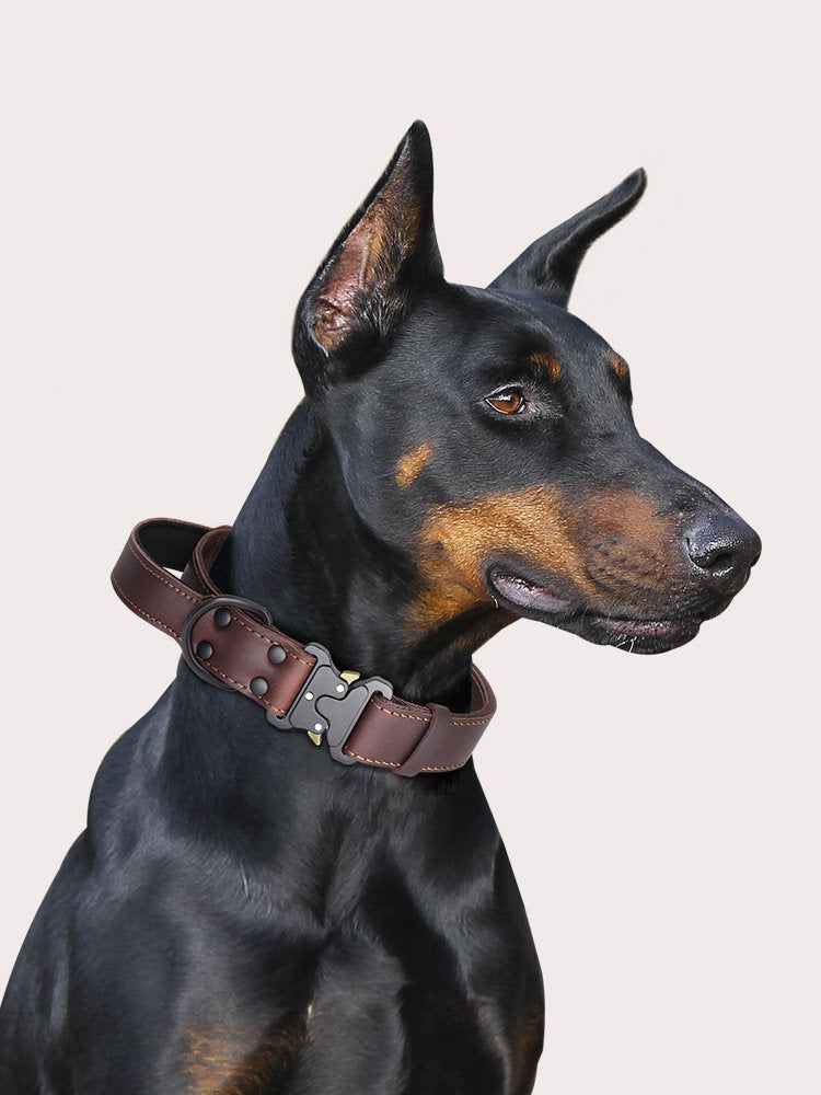 Black Leather Dog Collar – Heavy Duty Adjustable Collar for Strong Dogs