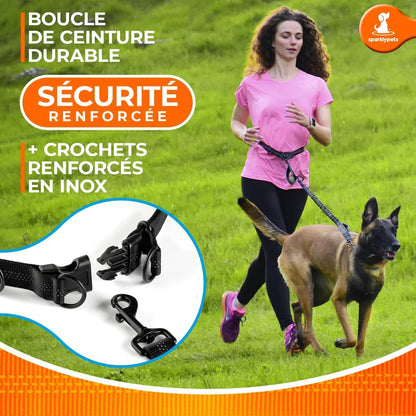 Professional Hands-Free Bungee Dog Leash