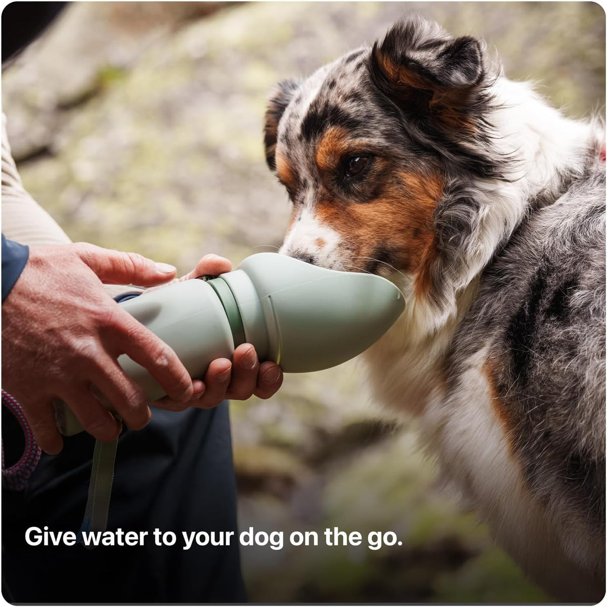 Collapsible Adventure Dog Water Bottle