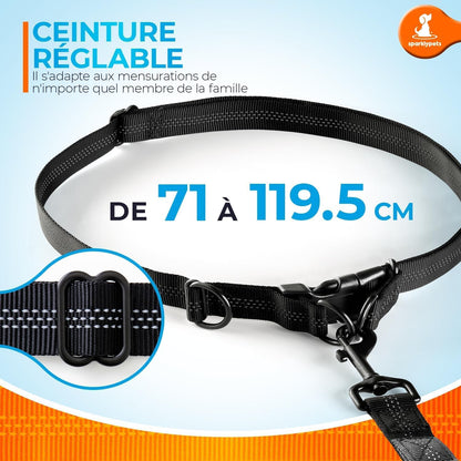 Professional Hands-Free Bungee Dog Leash