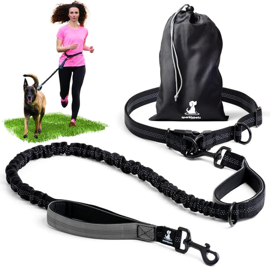 Professional Hands-Free Bungee Dog Leash