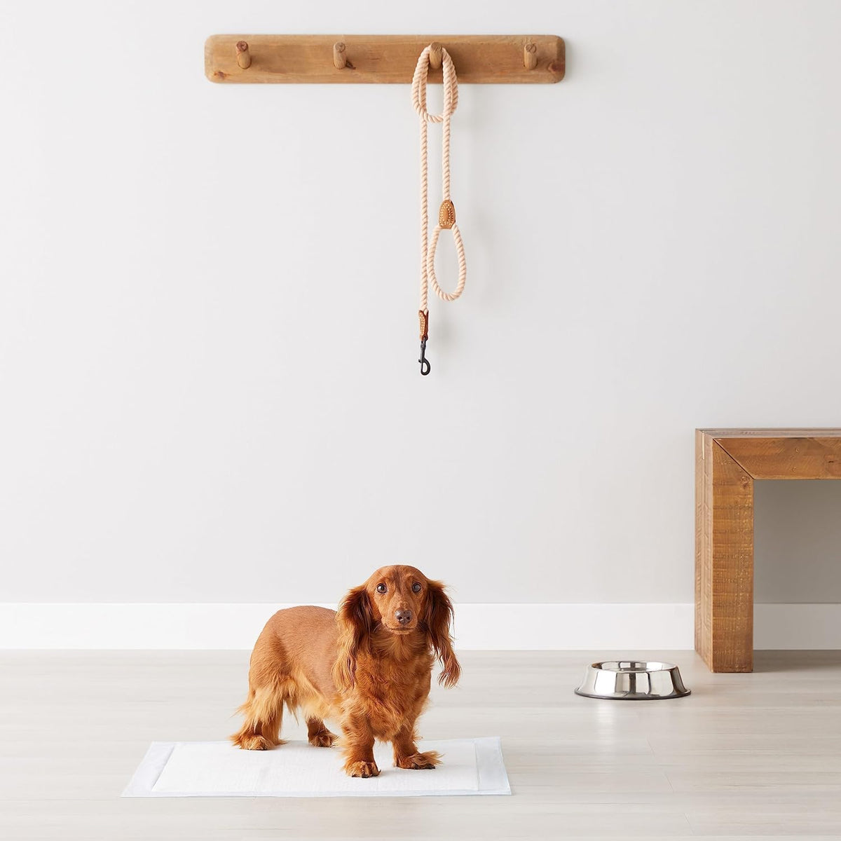 Ultra-Absorbent Leak-Proof Dog Training Pads