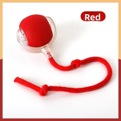 Automatic Bouncing Dog Toy Ball with Three Speeds Pets Perfect