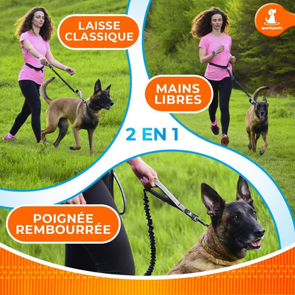 Professional Hands-Free Bungee Dog Leash