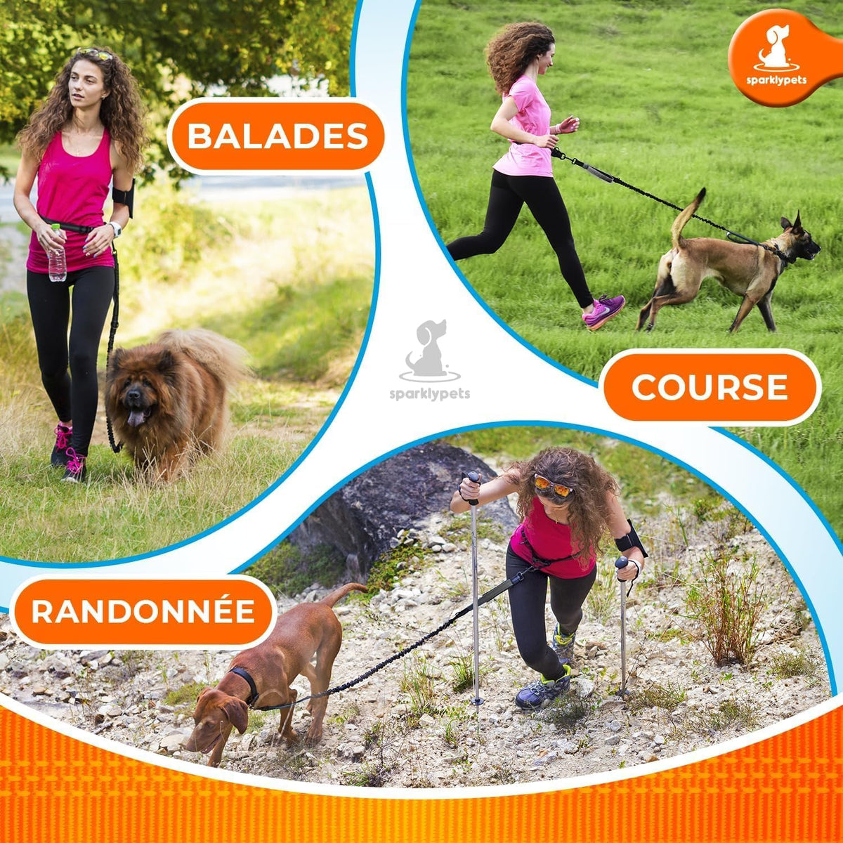 Professional Hands-Free Bungee Dog Leash
