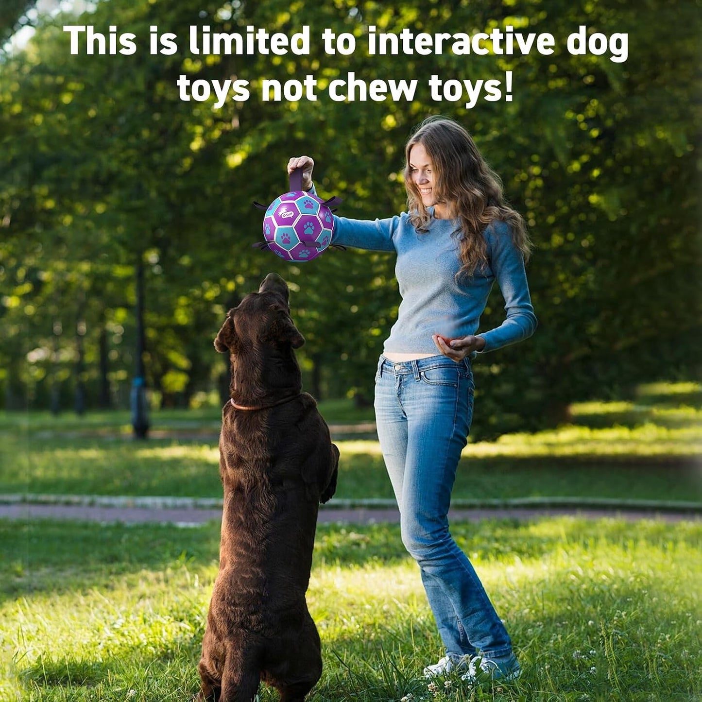 Ultimate Interactive Floating Dog Soccer Ball