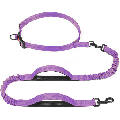 Pet Leash Pet Perfect