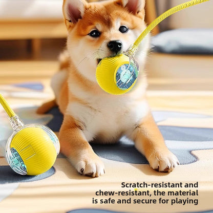 Automatic Bouncing Dog Toy Ball with Three Speeds Pets Perfect