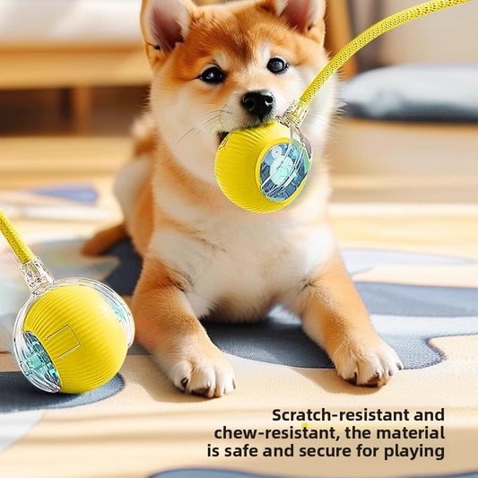Automatic Bouncing Dog Toy Ball with Three Speeds