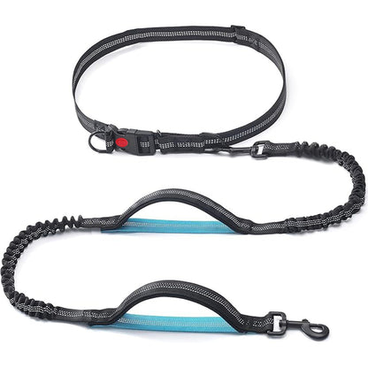 Pet Leash Pet Perfect