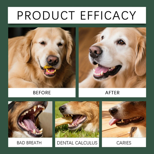 Enzymatic Pet Dental Health Powder