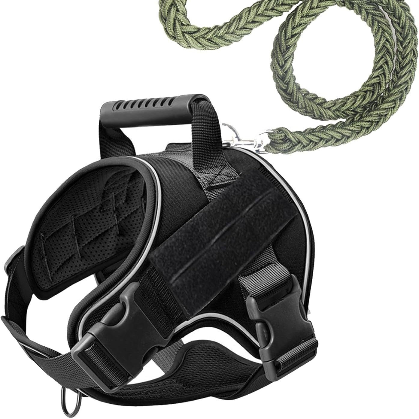 Pet Leash Pet Perfect