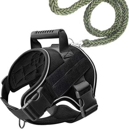 Pet Leash Pet Perfect