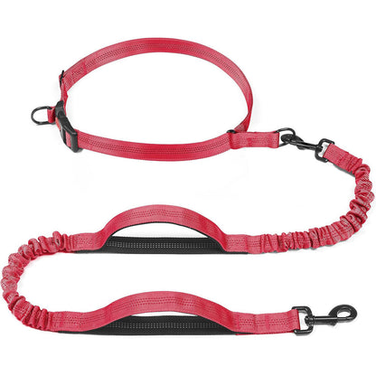 Pet Leash Pet Perfect