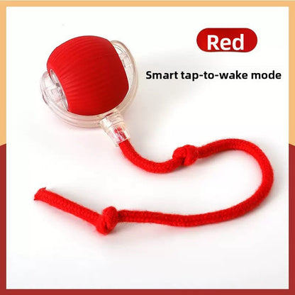 Automatic Bouncing Dog Toy Ball with Three Speeds Pets Perfect