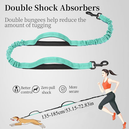 Pet Leash Pet Perfect