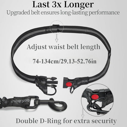 Pet Leash Pet Perfect