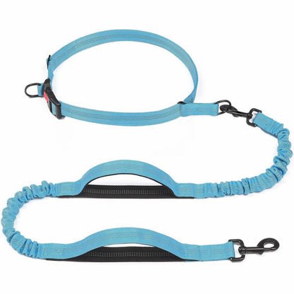 Pet Leash Pet Perfect