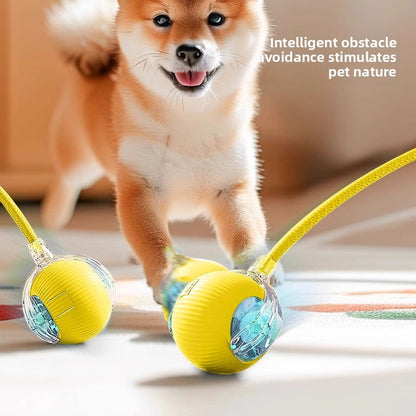 Automatic Bouncing Dog Toy Ball with Three Speeds Pets Perfect