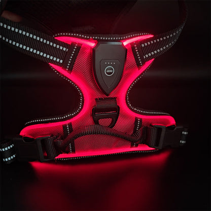 LED Luminous Pet Chest Strap Night Dog Walking Anti-car Accident Adjustable Flash Cat and Dog Vest Pet Perfect