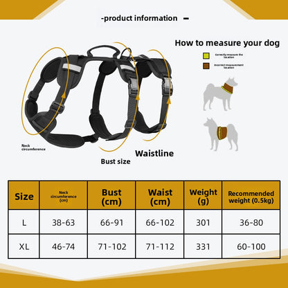 leash pet