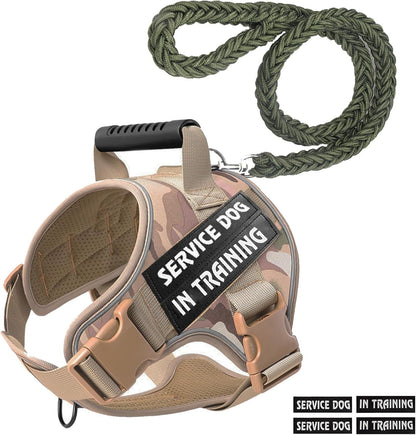 Pet Leash Pet Perfect