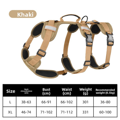 leash pet
