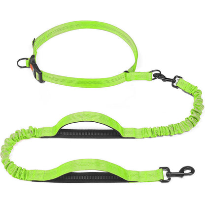 Pet Leash Pet Perfect