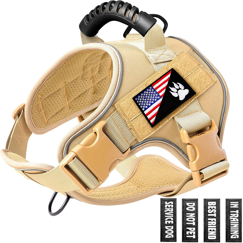 Pet Leash Pet Perfect