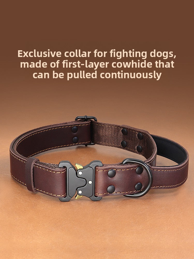 Brown leather dog collar with metal buckle on a brown background