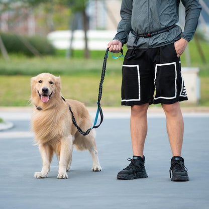 Pet Leash Pet Perfect